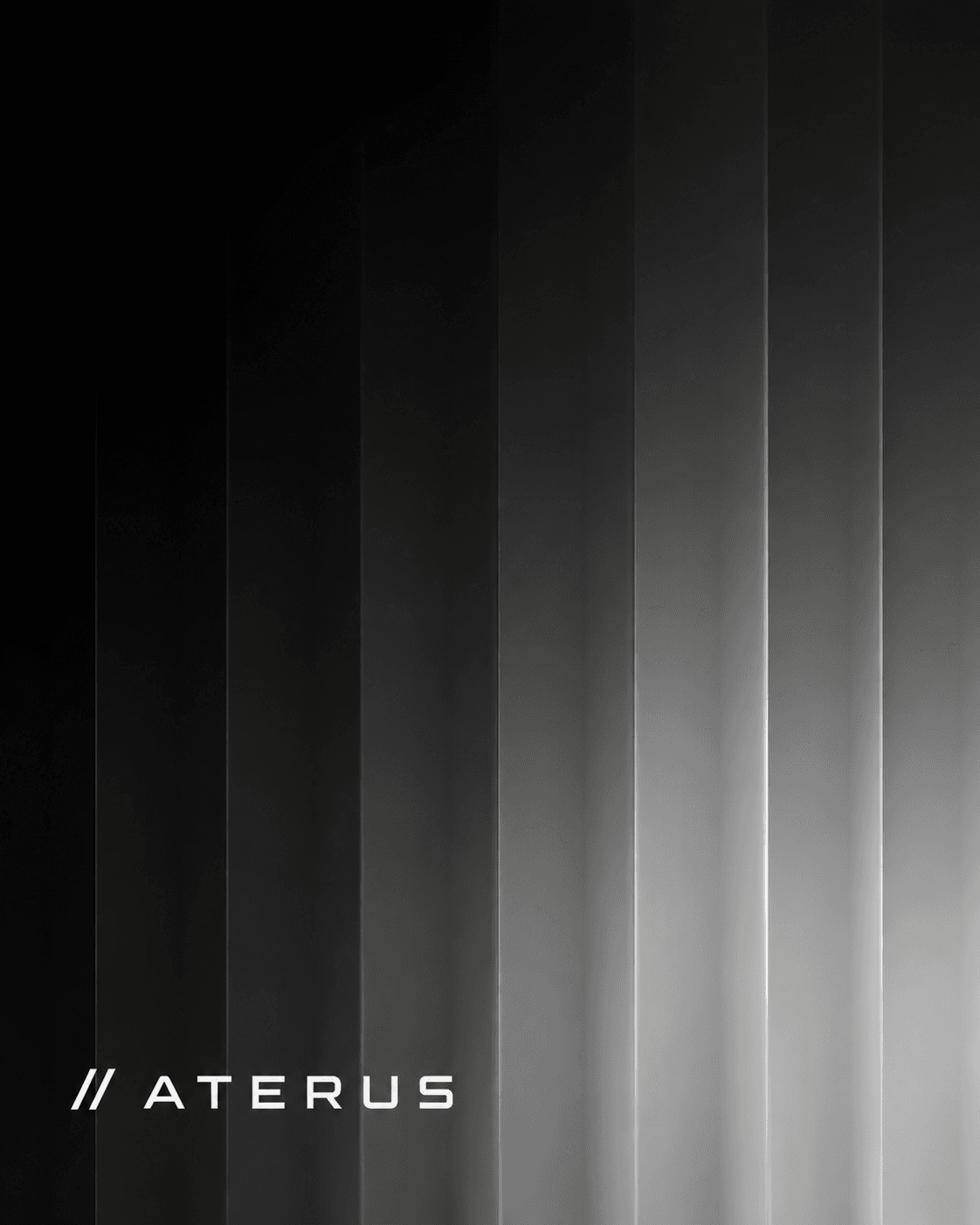 Security Audits